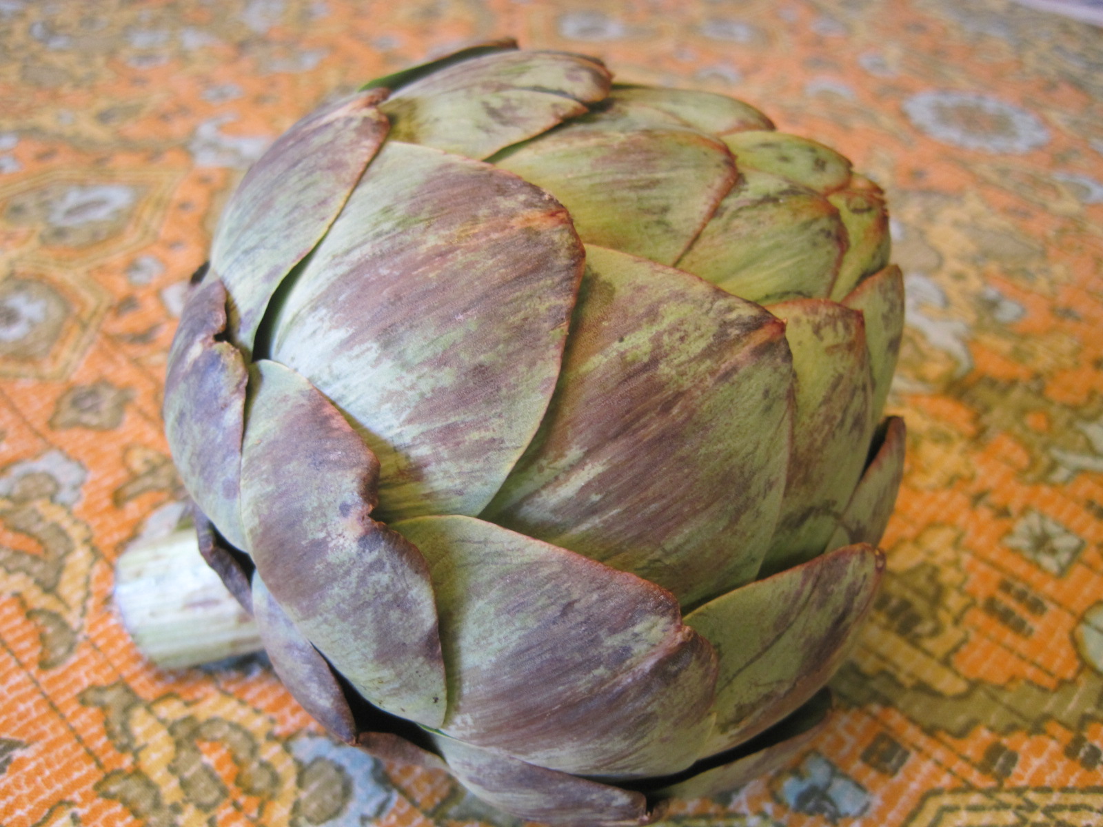 Mom's Cooking Help The Artichoke What Is It and How Do I Cook It?