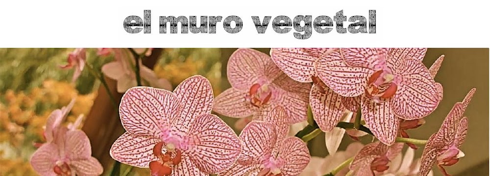 El muro vegetal