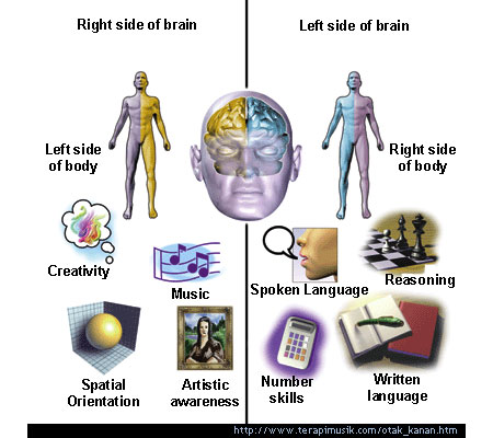 otak kanan dan kiri