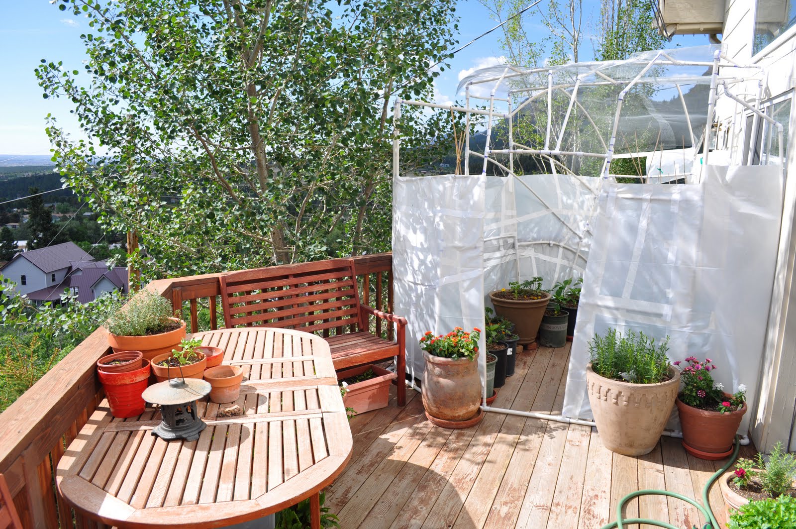 vegan ascent Beyond Bathtub Gardening