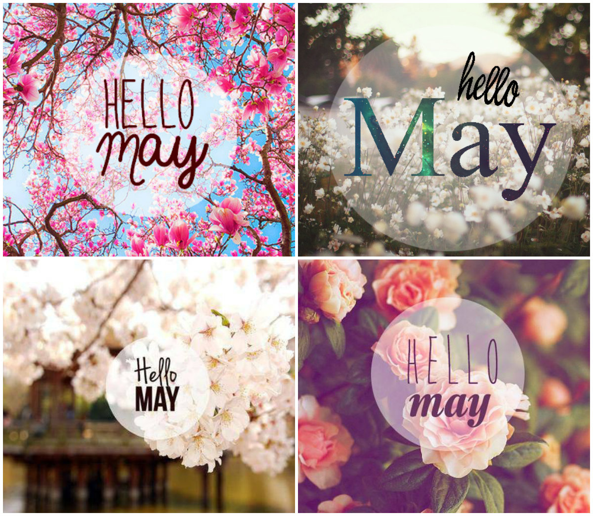 Hello, May! | p-S's w.o.r.l.d.