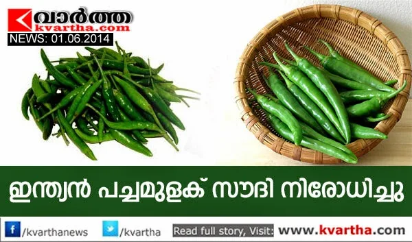 Gulf, India, Saudi Arabia, Business, Green Chilli, Government, Saudi Arabia returns green chilli consignment,