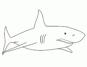 La Chachipedia: Dibujos de tiburones para colorear