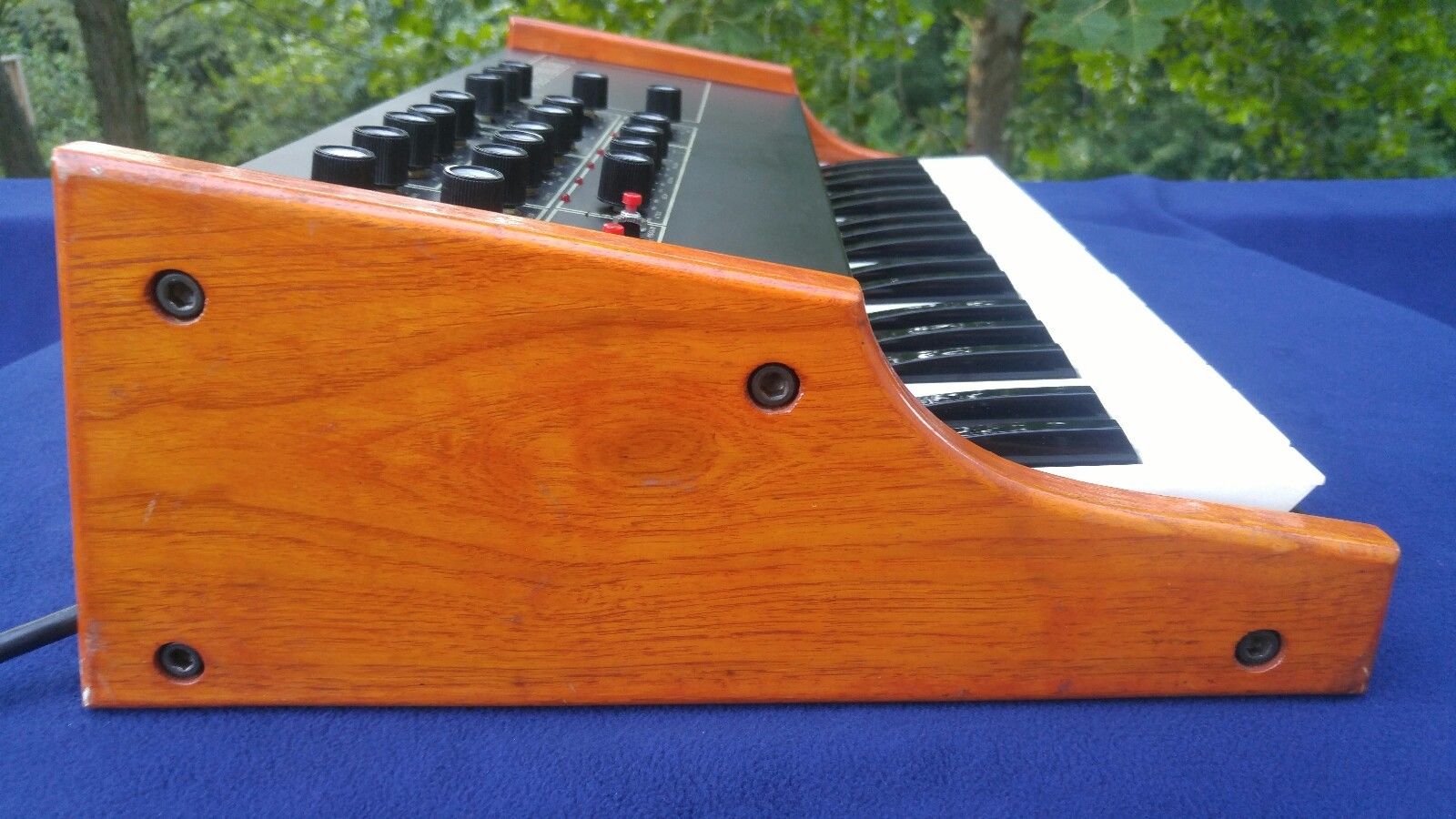 MATRIXSYNTH Rare Vintage PAiA Synthesizer PROTEUS 1 Analog Monosynth