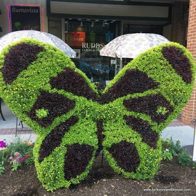 butterfly topiary at South Carolina Festival of Flowers in Greenwood, South Carolina