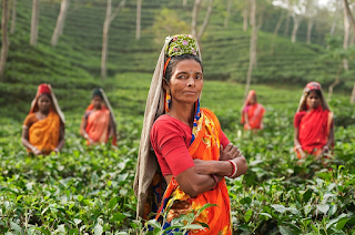Indian travel tips India tavel tips