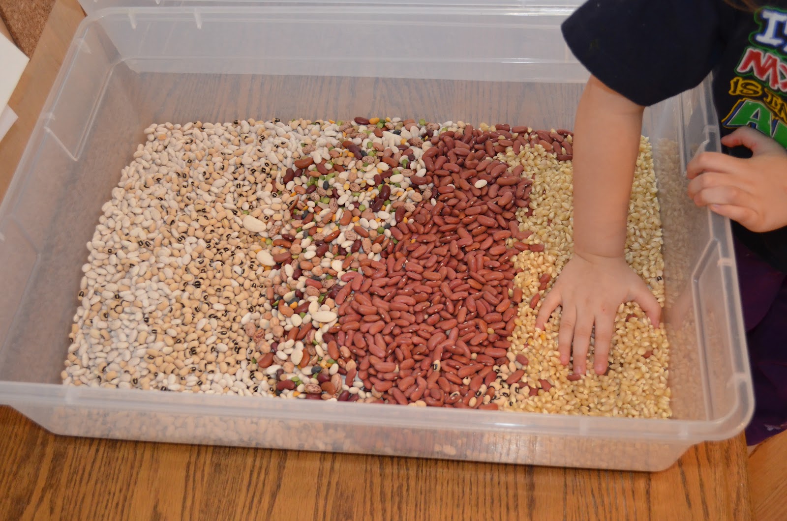 Play to Learn and Live to Play Bean Sensory Bin