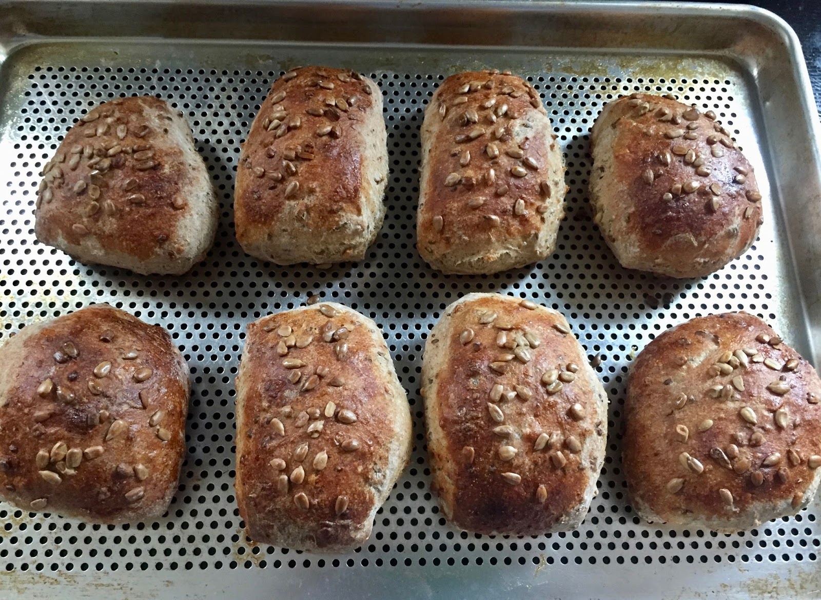 Brot & Bread GERMAN SUNFLOWER SEED SQUARES HEARTY SOURDOUGH ROLLS