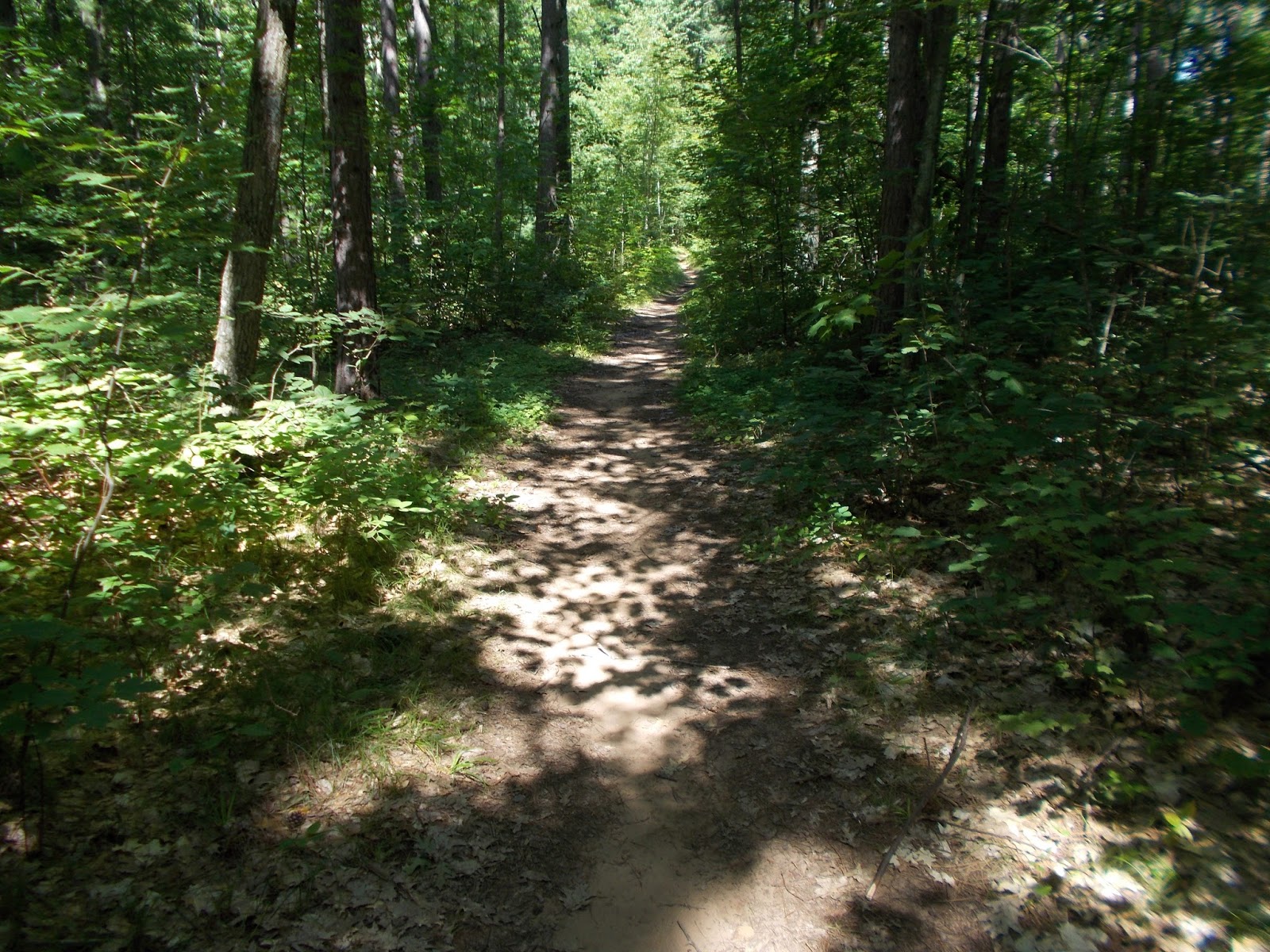 Colleen Sutherland, Storyteller Chute Pond Overlook