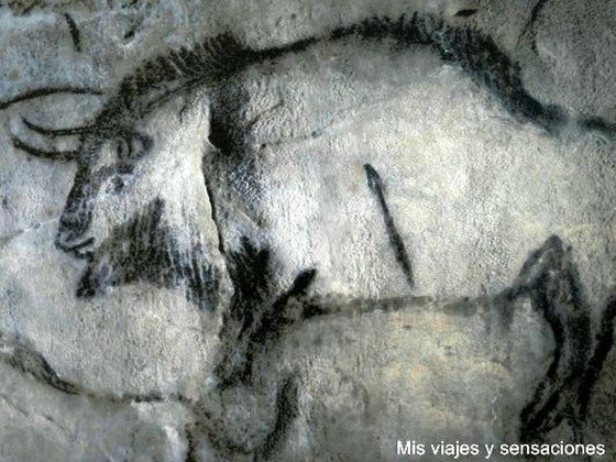 Pinturas rupestres cueva de Niaux, Ariége, Midi-Pirineos, Francia