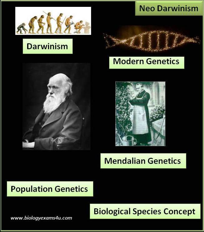 Difference between Darwinism and Neo-Darwinism (Darwinism vs Neo Darwinism)