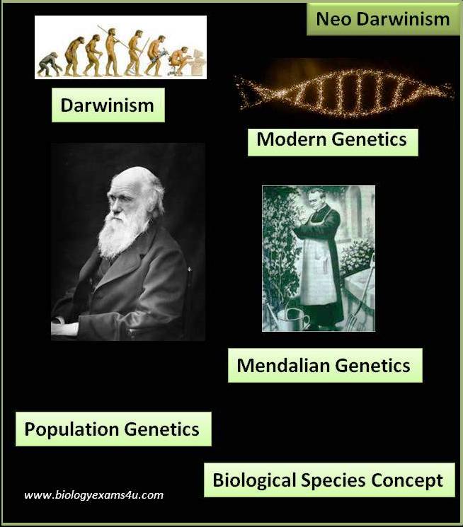 an analysis of two important concepts in charles darwins the origin of species Modern thought is most dependent on the influence of charles darwin to the 150th anniversary of charles darwin's on the origin of the species the situation differs dramatically with regard to concepts in biology my assertion of darwin's importance to modern thought is the result of an analysis of. an analysis of two important concepts in charles darwins the origin of species Modern thought is most dependent on the influence of charles darwin to the 150th anniversary of charles darwin's on the origin of the species the situation differs dramatically with regard to concepts in biology my assertion of darwin's importance to modern thought is the result of an analysis of.