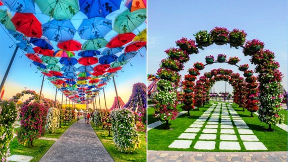 Dubai Miracle Garden!! | The Eccentricities of the World