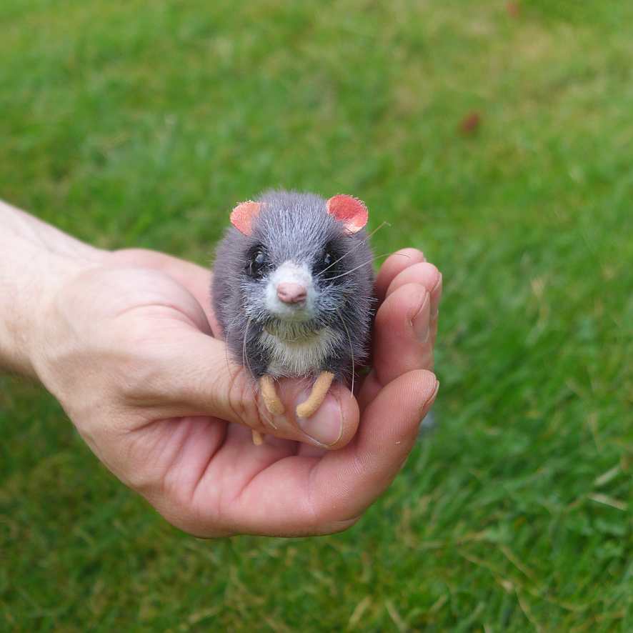 Klein, kleiner... am kleinsten