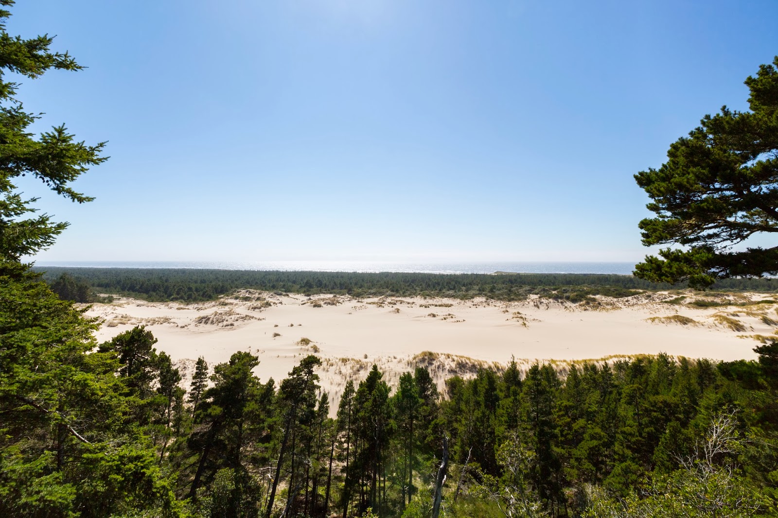 Naturetastic Blog Oregon Dunes National Recreation Area, Umpqua River