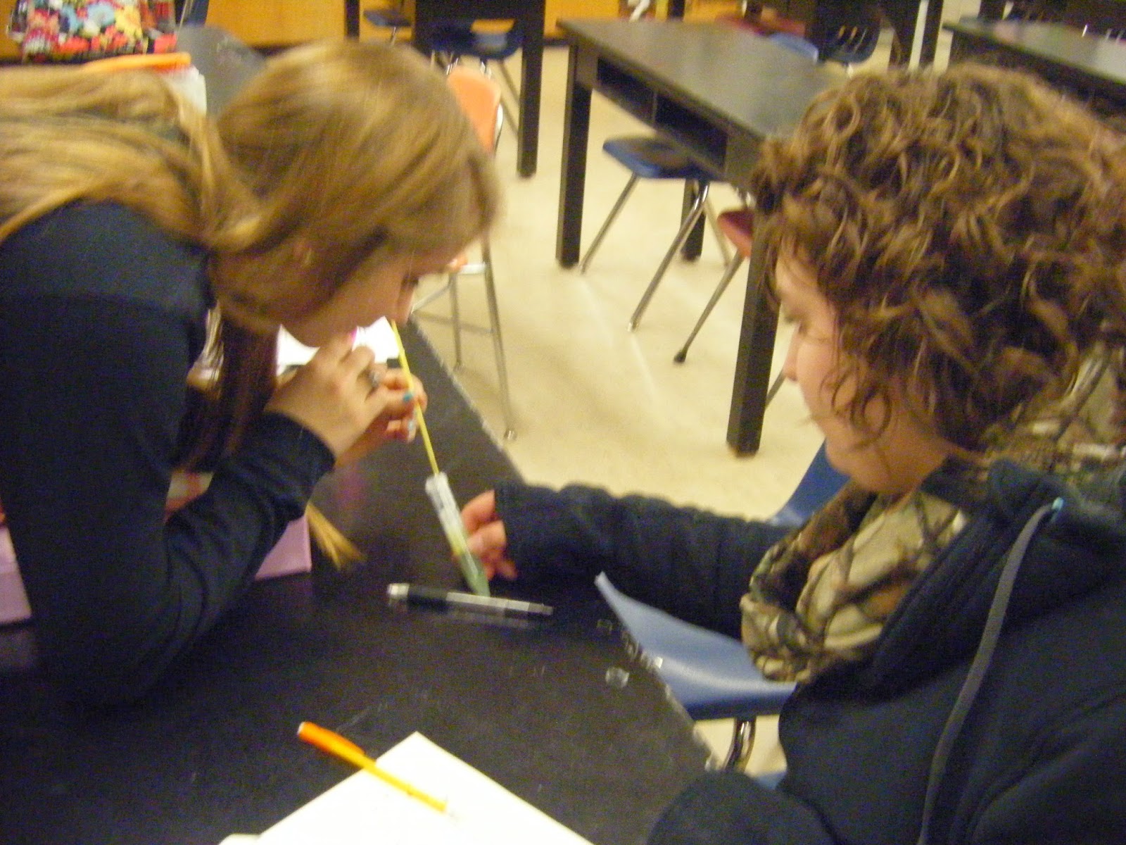 Loving Life Science Miss A's Biology Blog: Snow Day #7