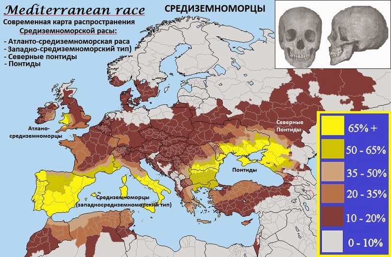 Карта рас европы