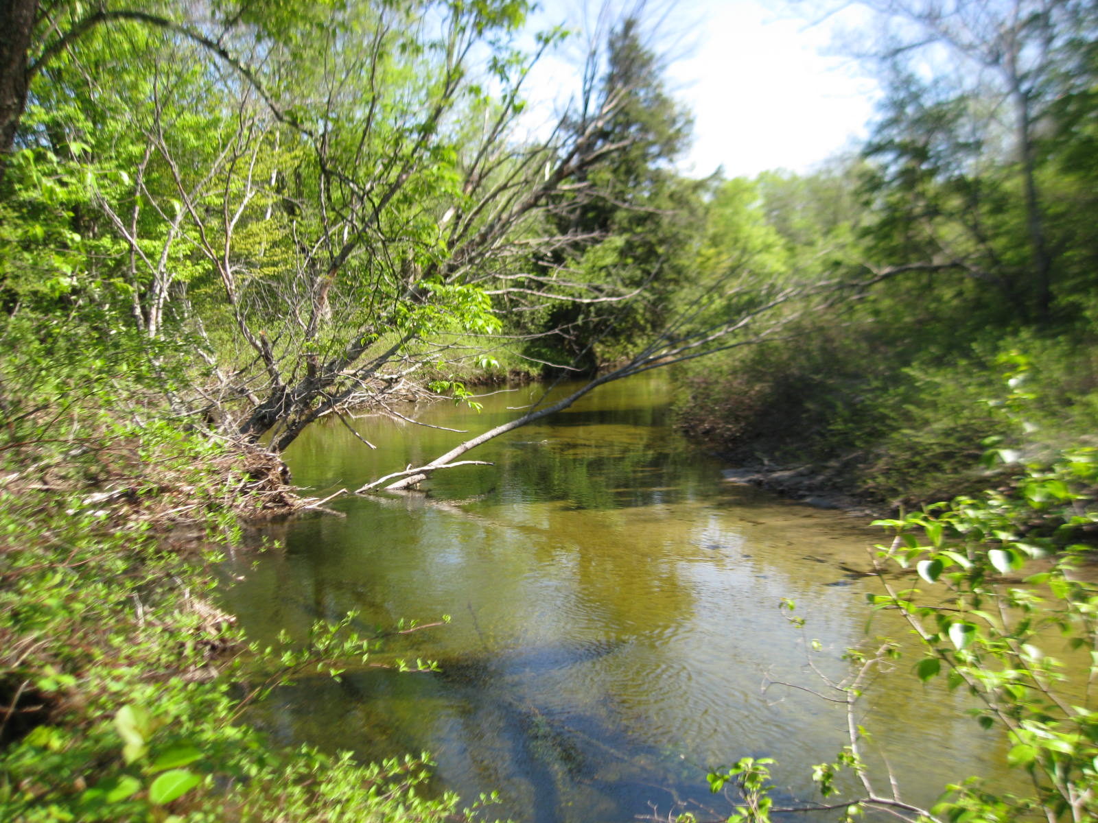 Conserve Hazelton Farm NH Fish and Game pledges 60,000 to Hazelton