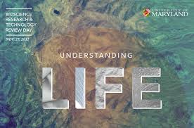 Understanding life through proverbs…! Understanding life through proverbs…!