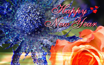 Most Beautiful Happy New Year Wishes Greetings Cards Wallpapers 2013 003