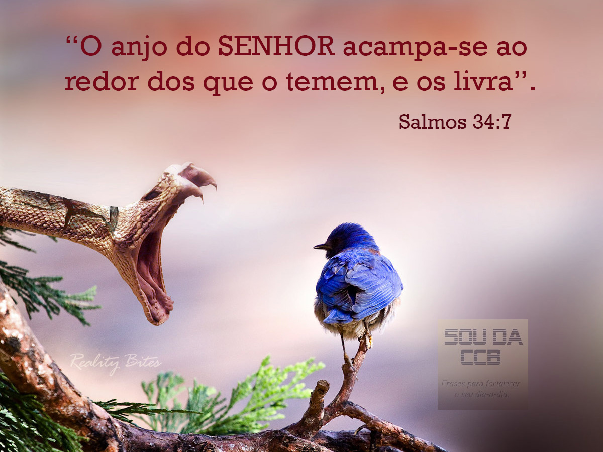 O anjo do SENHOR ... | Sou da CCB - Hinos Novos