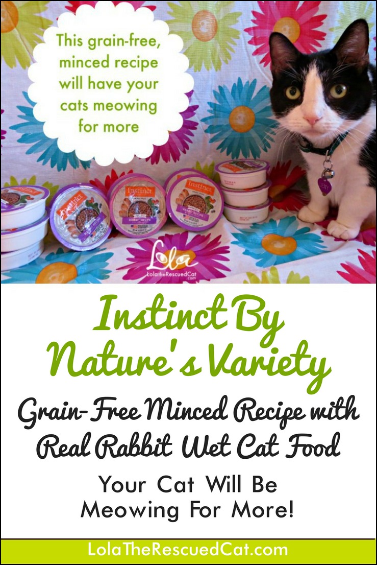 Lola The Rescued Cat Instinct Real Rabbit Wet Food Delish