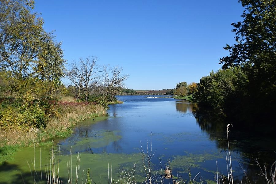 High Tide And Green Grass Prairie Rose State Park, Harlan, Iowa