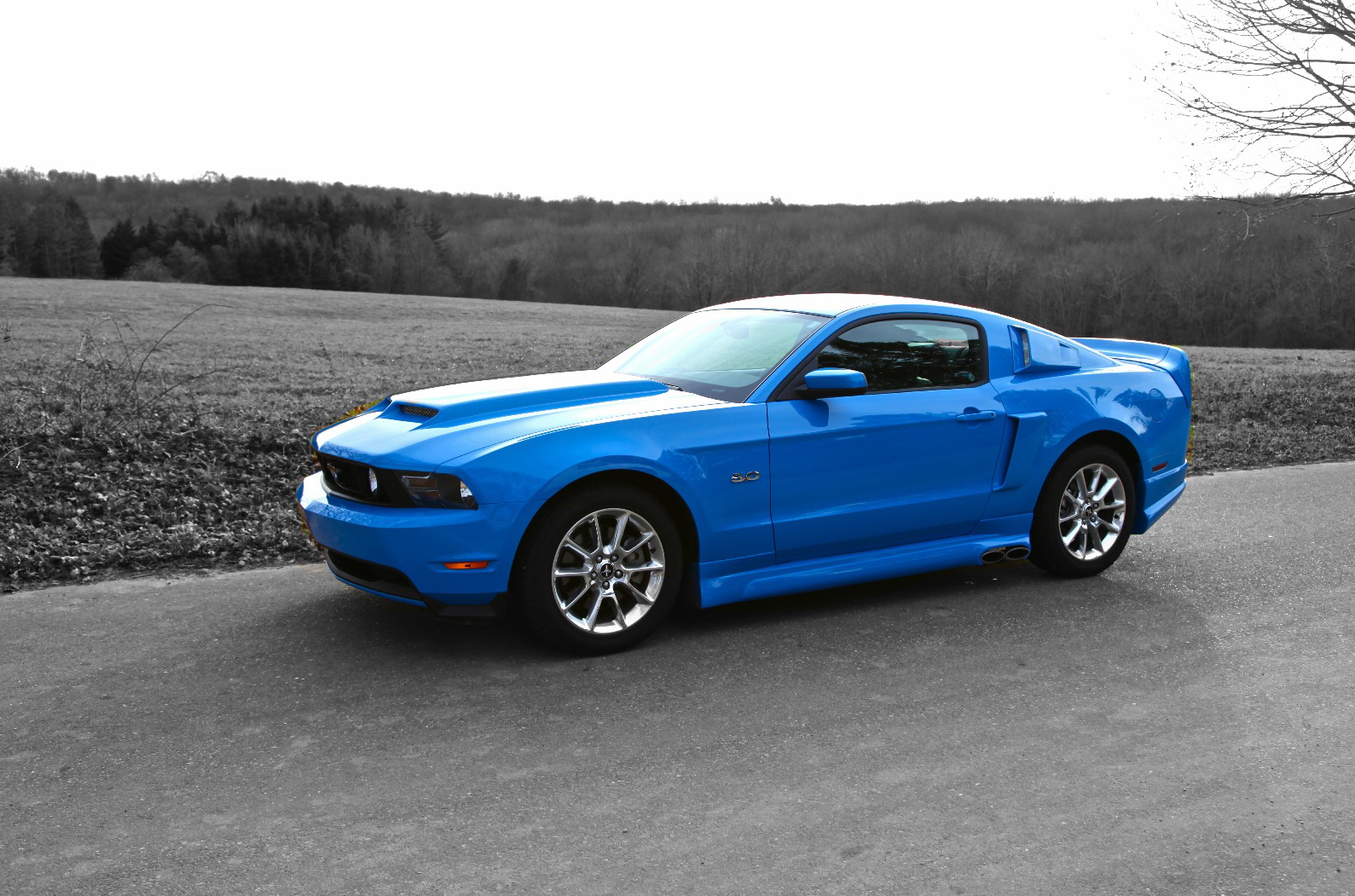 Robert Pradke: Cervini's body kit on 2011 mustang