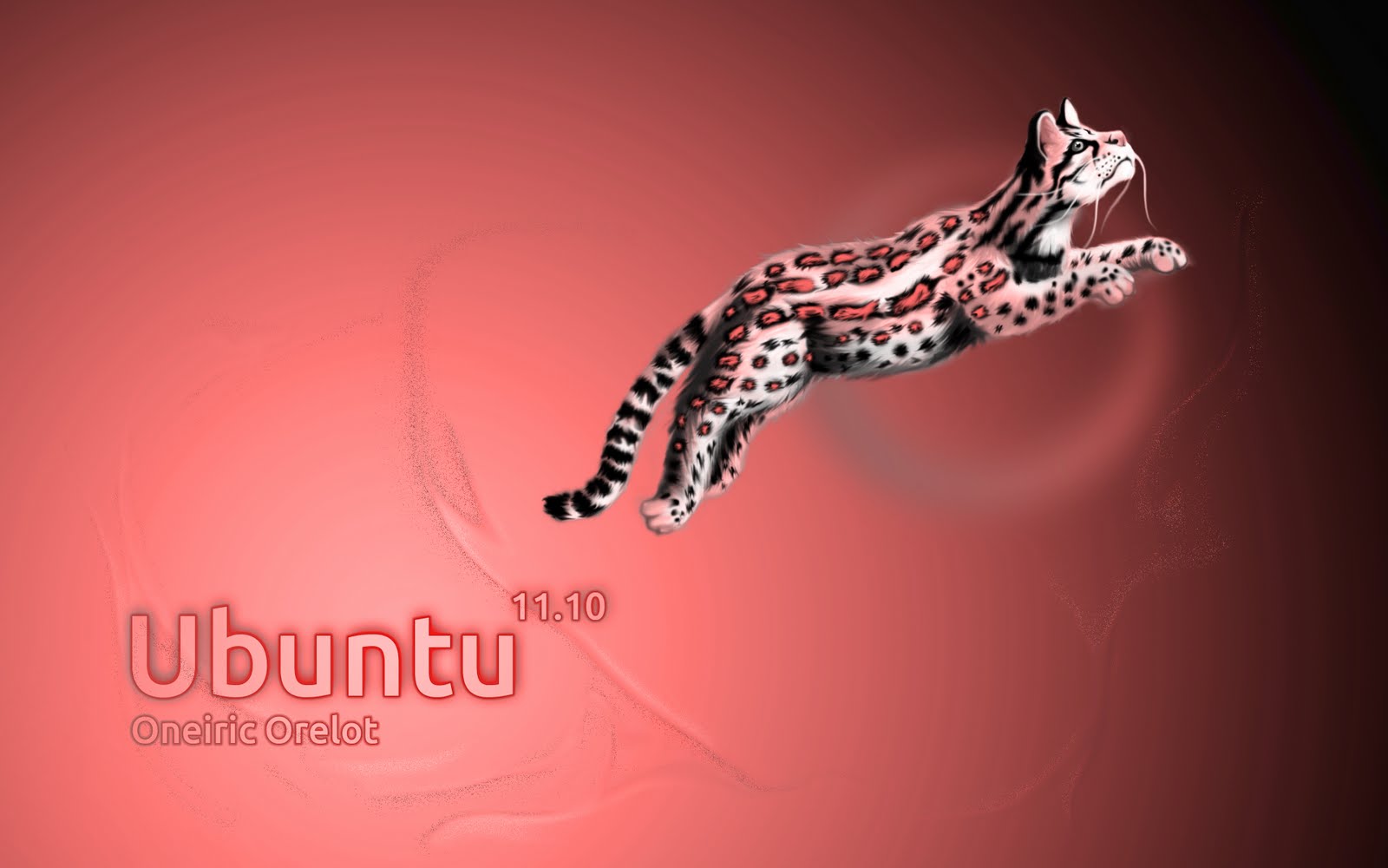 skandgupt Ubuntu wallpaper n wallpaperSkanD GupT3