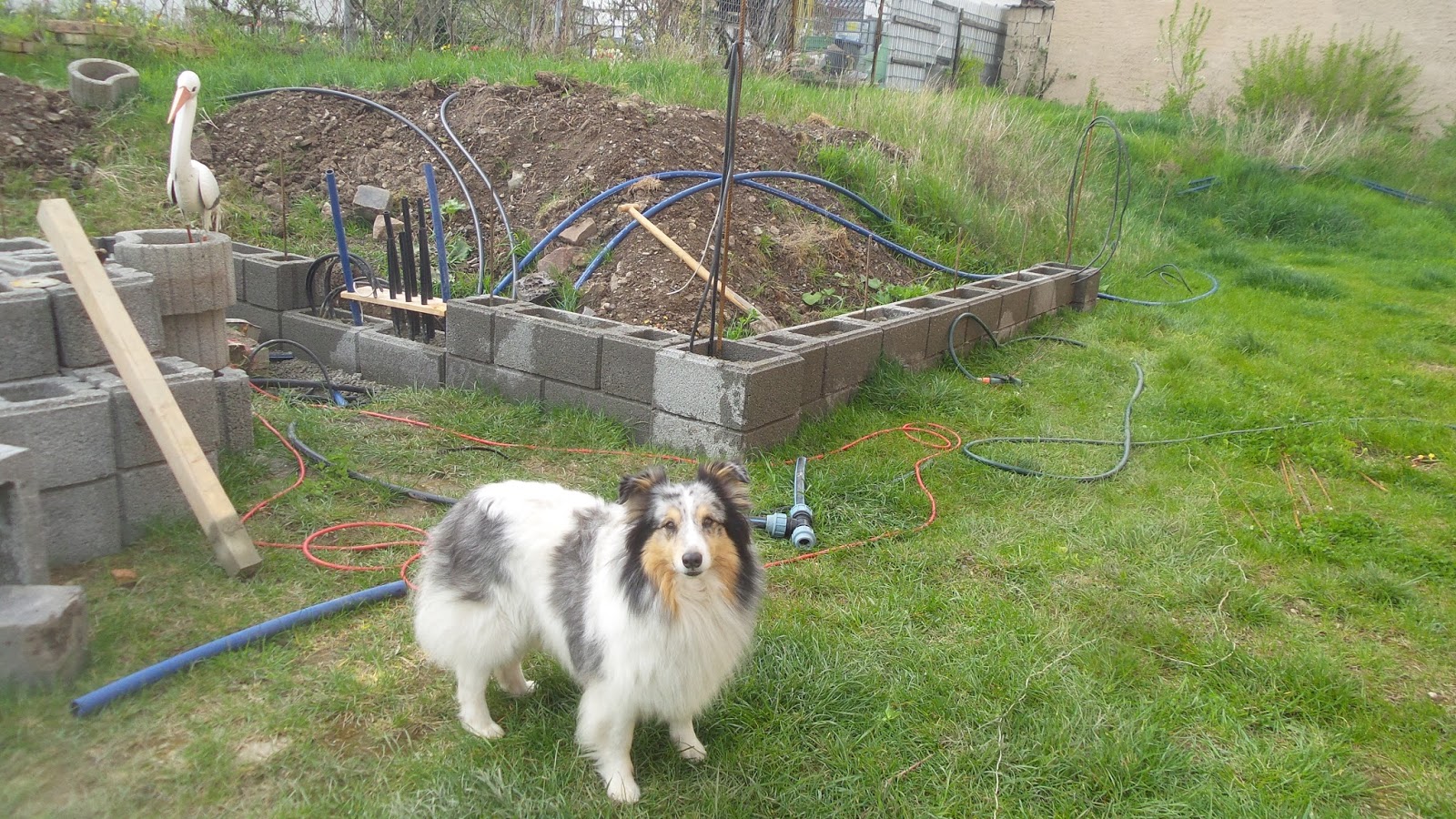 Ein Haus Fur Mensch Hund Katze Und Maus April 2016