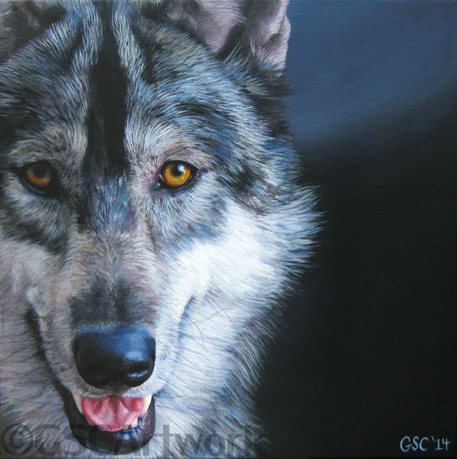 gray wolf dog wildlife art acrylic painting