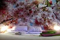 stanza a roma hotel roma
