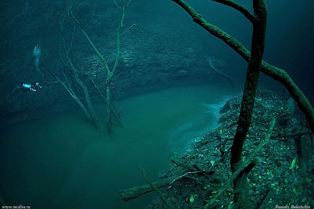 Río oculto bajo el agua fluye debajo del océano México