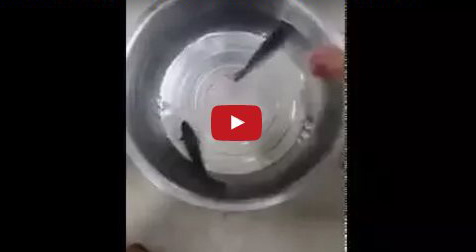 Ini Cara Ketahui Keaslian Air Zamzam Islampos