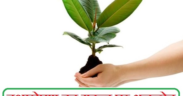 Essay vriksharopan ka mahatva 02 image