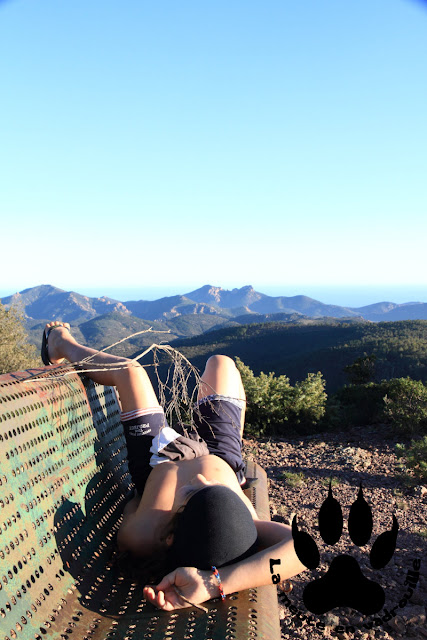 grand-loup-banc-randonnee-mont-vinaigre