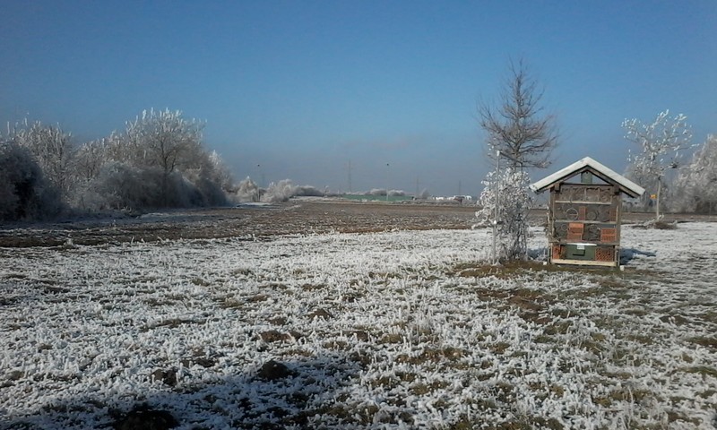 Ehe Familie Und Scheidung Eltern Sein Familien Bleiben Januar