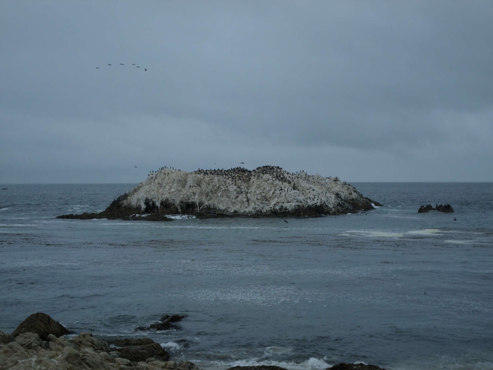 dicas viagem roatrip california monterey carmel