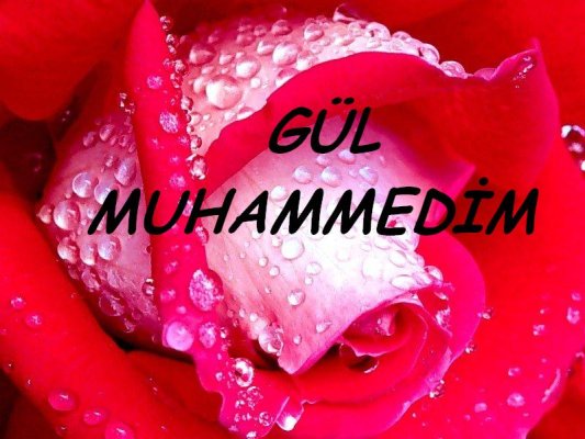 Sayfamıza Hoş Geldiniz HZ. MUHAMMEDİN(S.A.V) HAYATI