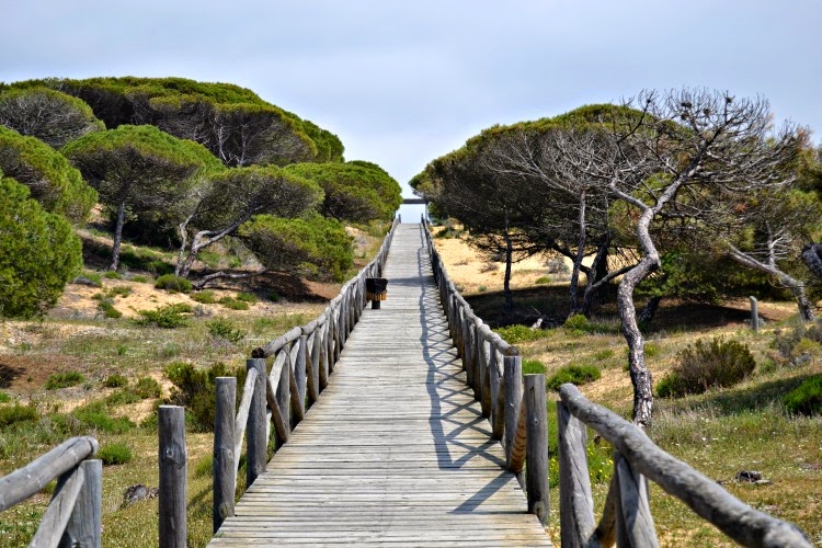 Fin de semana de relax en Huelva, imágenes de la naturaleza