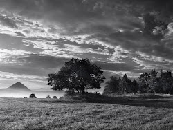 blanco negro paisajes imagenes fondos paisaje wallpapers pantalla tristes 4k dias lluviosos fotografia bokeh 1024 1280 bonitas fotografias bianco nero