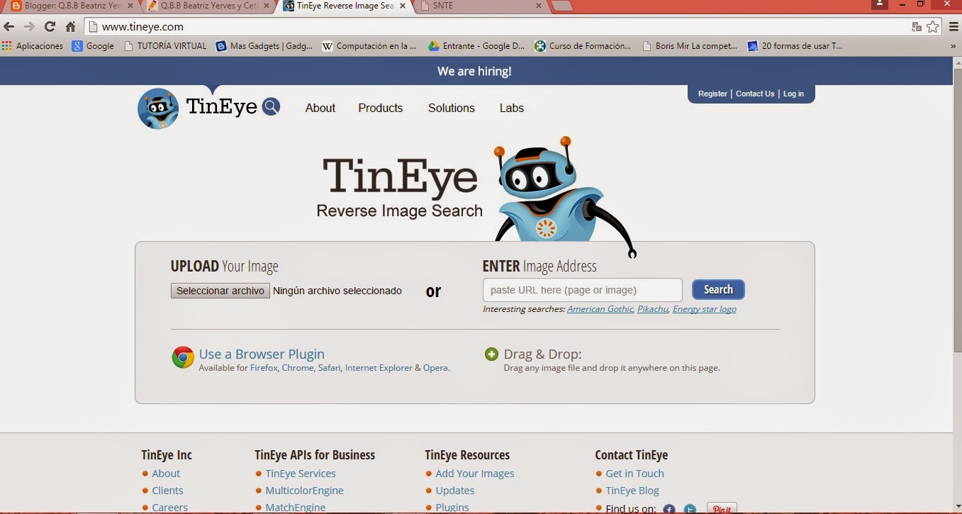 Q.B.B Beatriz Yerves y Cetina