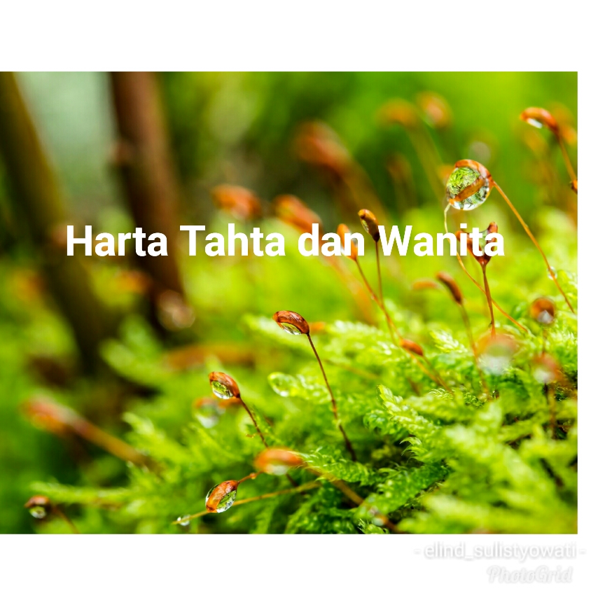 26+ Tulisan Harta Gambar Harta Tahta Wanita PNG