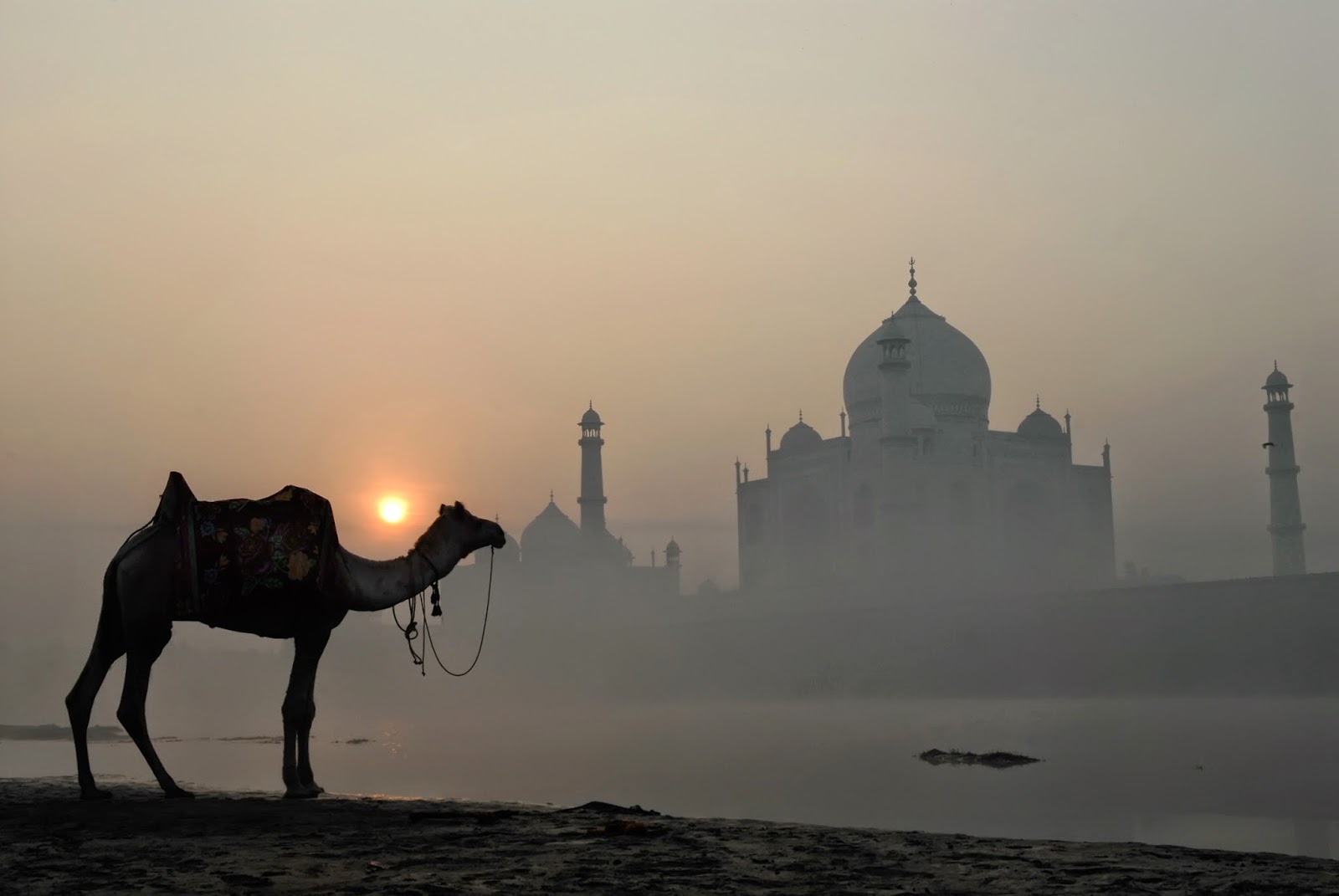 поднимающийся восток. вершина горы. восток пейзаж. восточные пейзажи с людьми картинки. путин в магадане 2005.