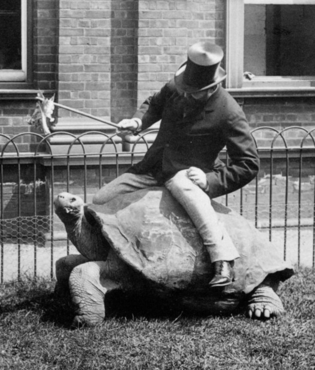 Rationalist Judaism Balfour, Rothschild, and the Ostrich