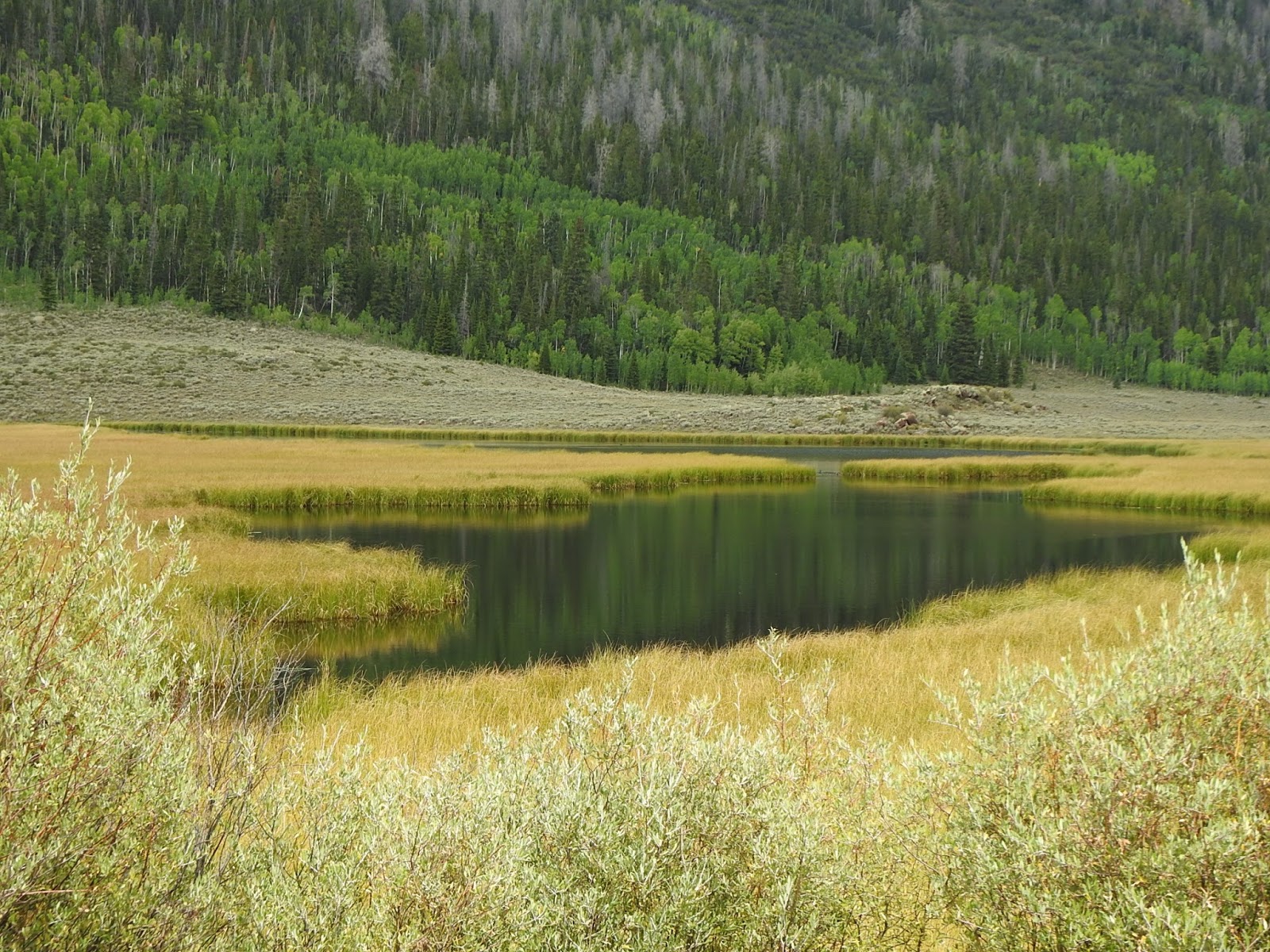 Texas Gypsies Gooseberry Rd to Fish Lake, UT