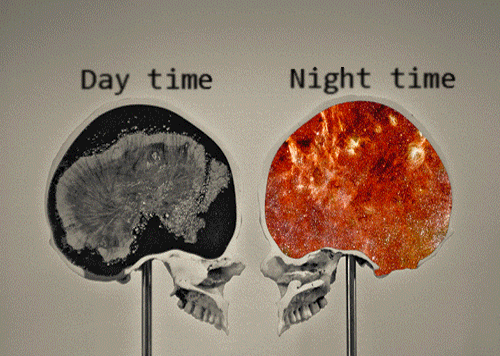 Night Owl Brain