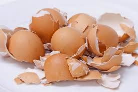 perawatan alami natural cangkang telur kulit wajah