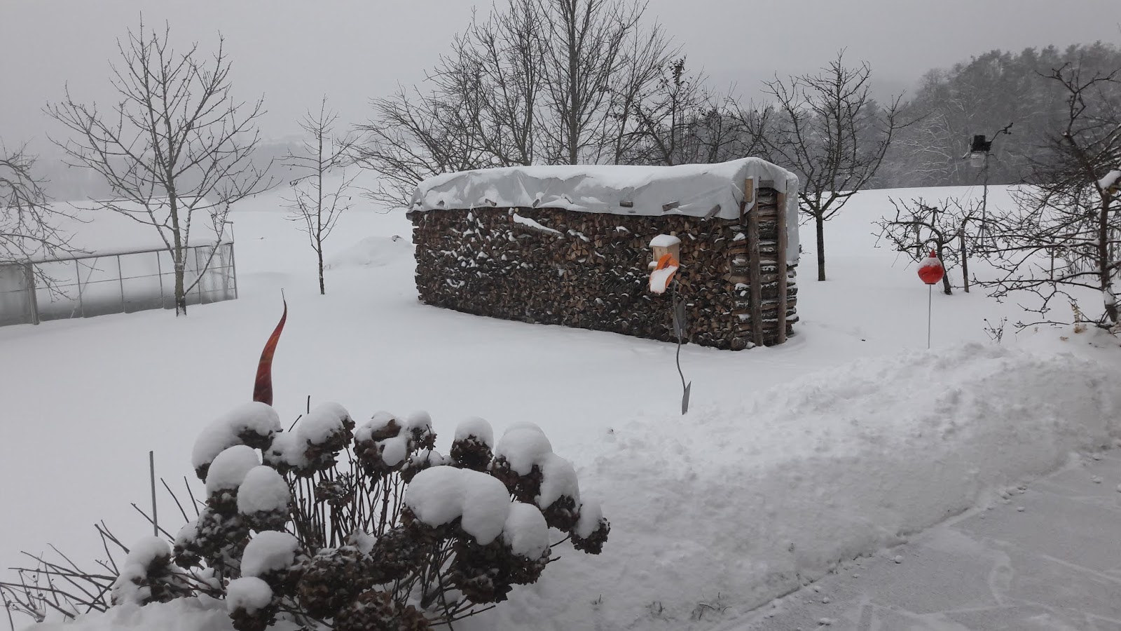 November 2013 Schmalspurbahn Nachrichten Archiv Webmaster