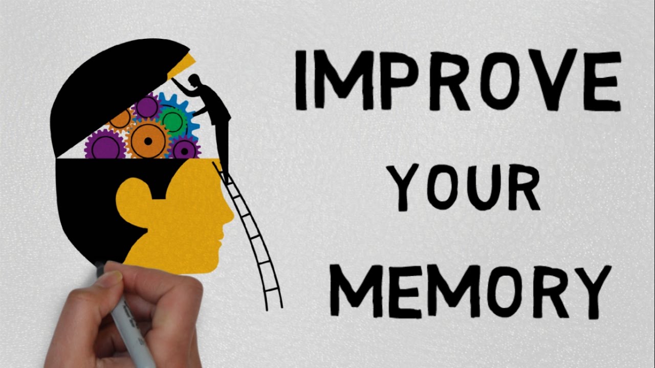 You can improve your. Improve your memory. продвижение сайтов. You can improve your. Improve your memory.